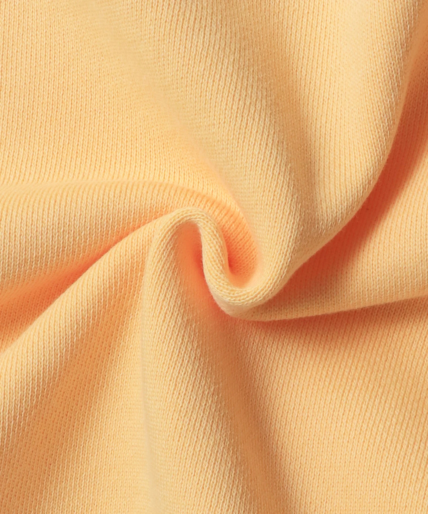 裏毛ピグメント カラースウェット